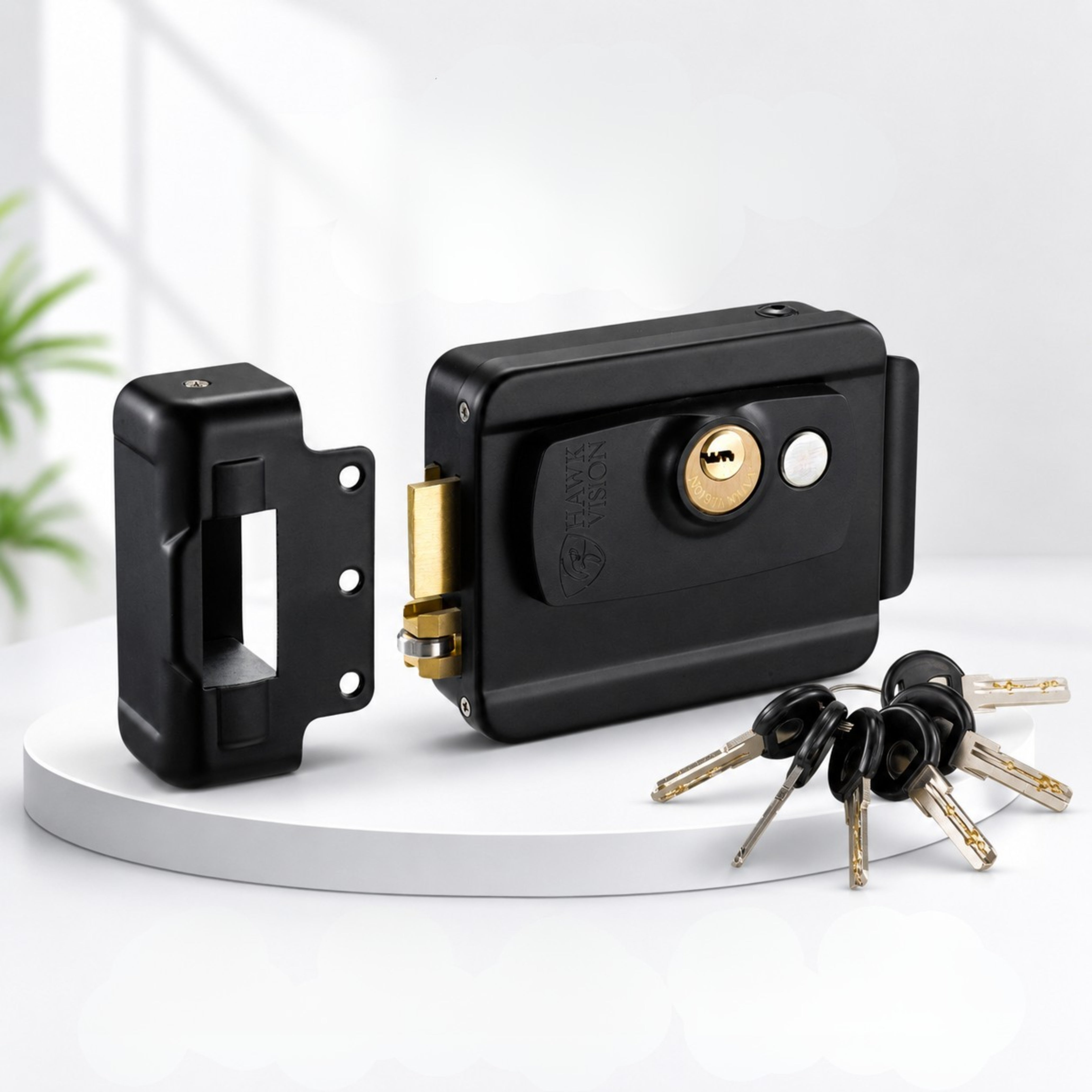 Electric Gate Lock with 5 Keys – High-Security & Durable Design